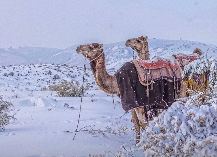 Once-in-30-Years Snowfall Blankets Saudi Arabian Desert
